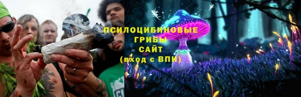 экстази Арсеньев