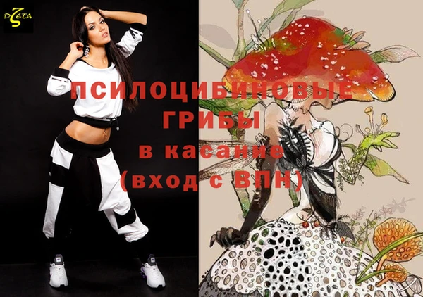 экстази Арсеньев