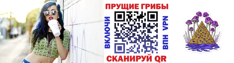купить наркотик  Спасск  Псилоцибиновые грибы ЛСД 